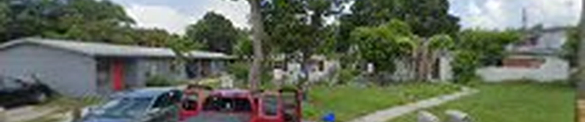 sunny florida tree trimming service