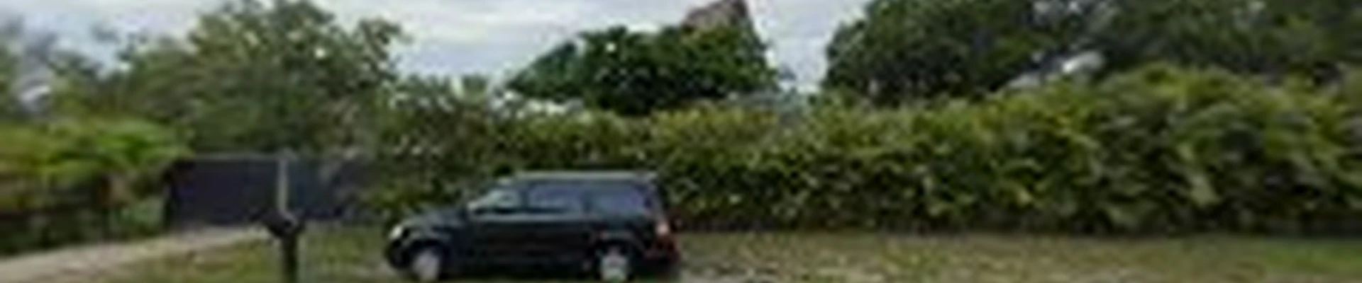 Treasure Coast Tree And Lawn Services LLC