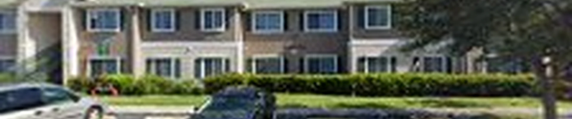 Tree service & power washing