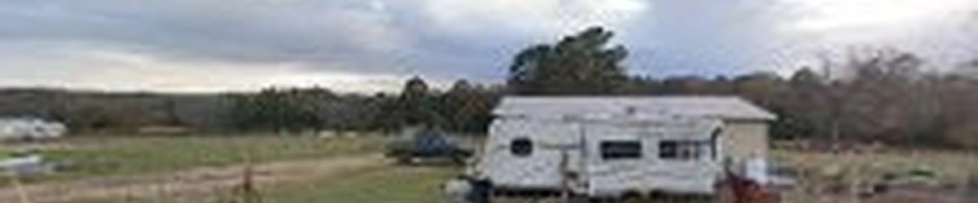 Santiago's tree service & Firewood sales