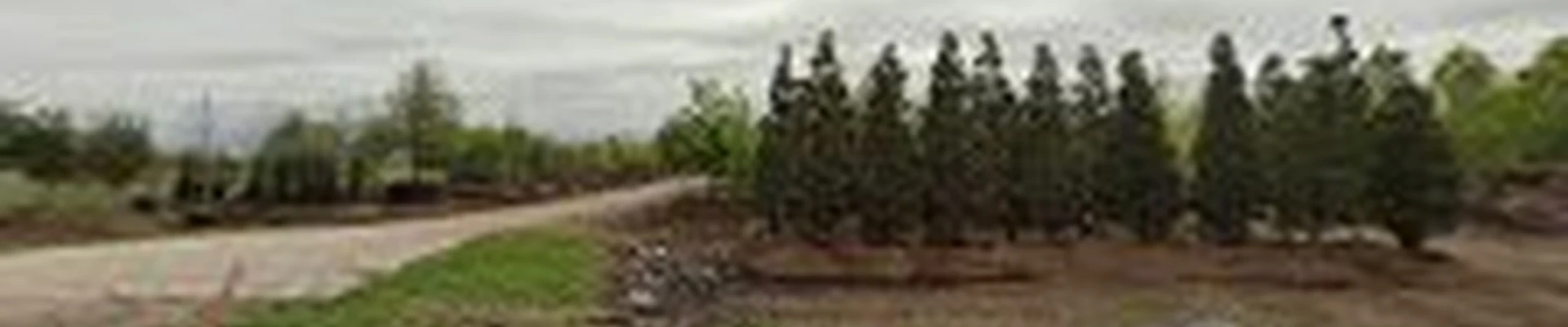 Tree Source, Inc.