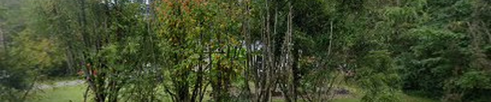Decker's Tree Trimming, LLC