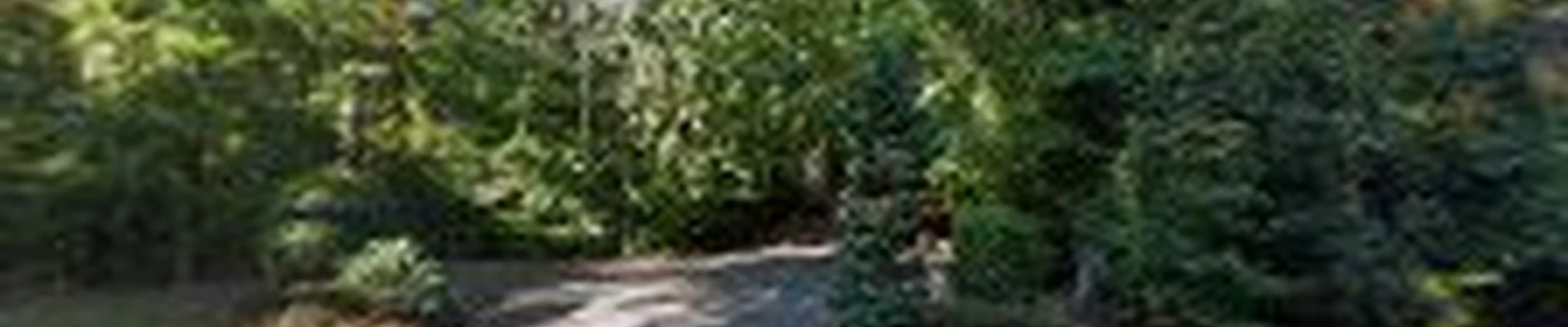 Hooked on Trees, LLC