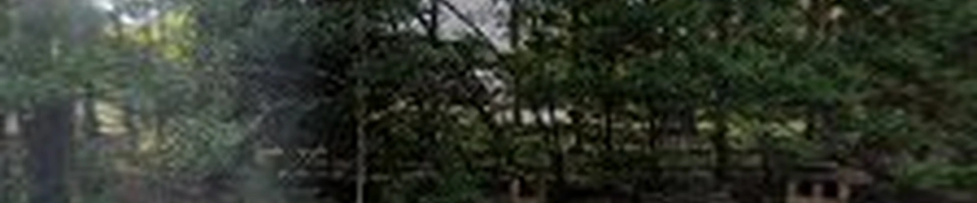 Rolling Oak Tree Service
