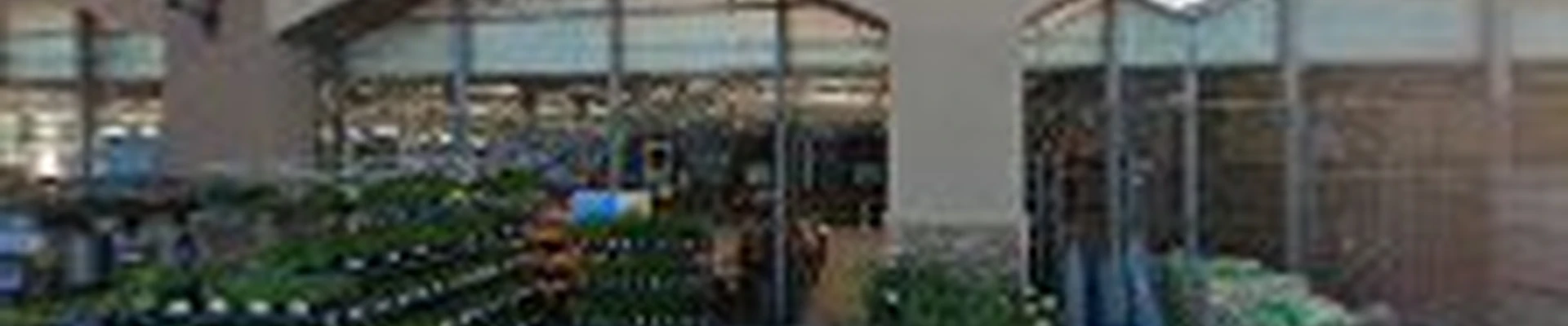 Lowe's Garden Center
