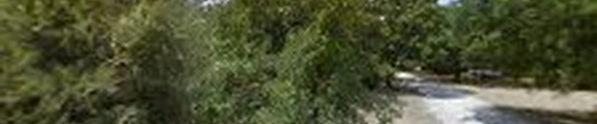North Texas Tree Specialists