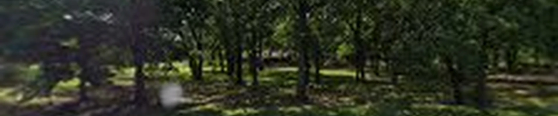 Whitmire Line Clearance Inc