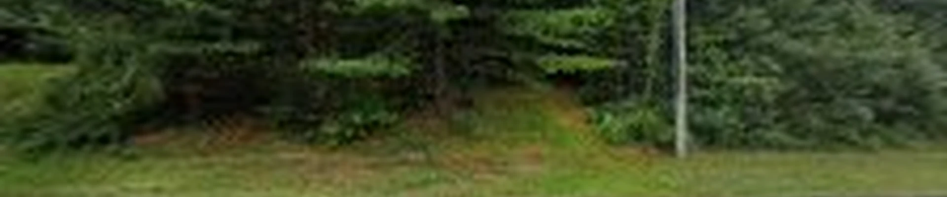 Arbor Care Tree Service, LLC