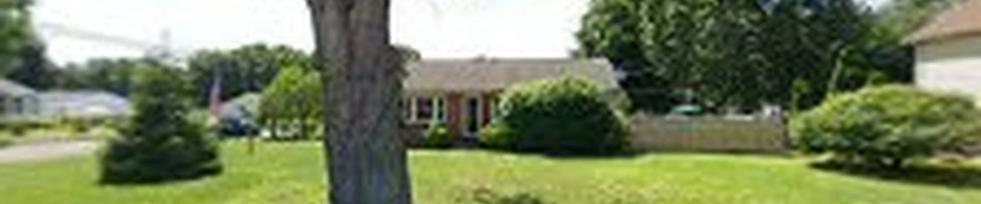 G’s Friendly Tree Service, LLC