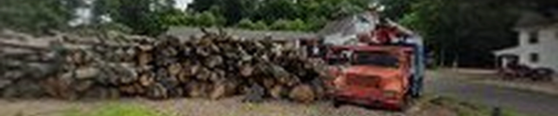 Rick's Tree Service LLC