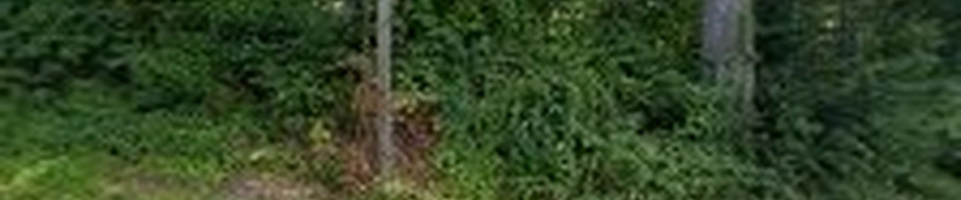 Highland Tree Services JRFV