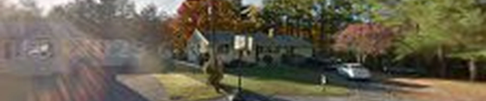 A Cut Above Tree Service LLC