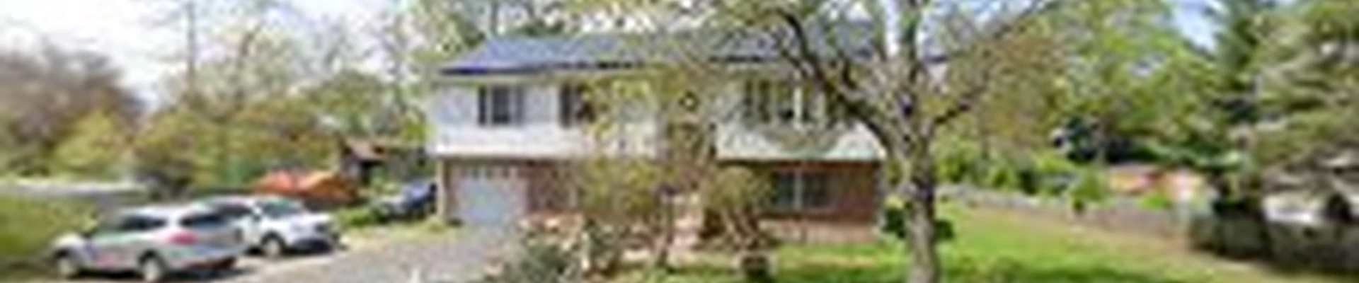 Martinez Tree Work CT