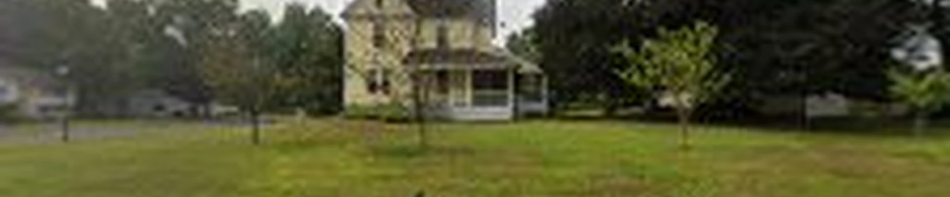 New England Tree Experts