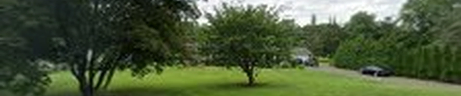 Jandreau's Tree Services