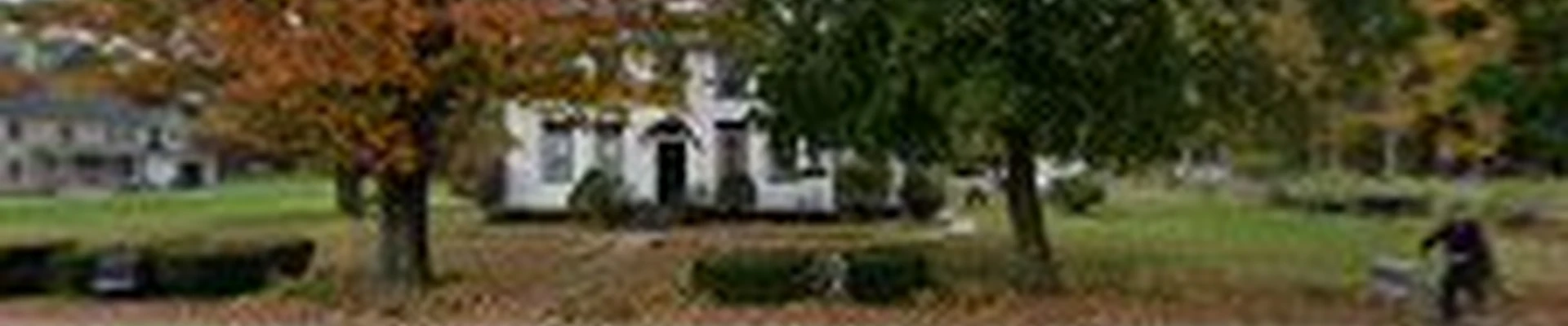 Cedar Stone Tree Works LLC