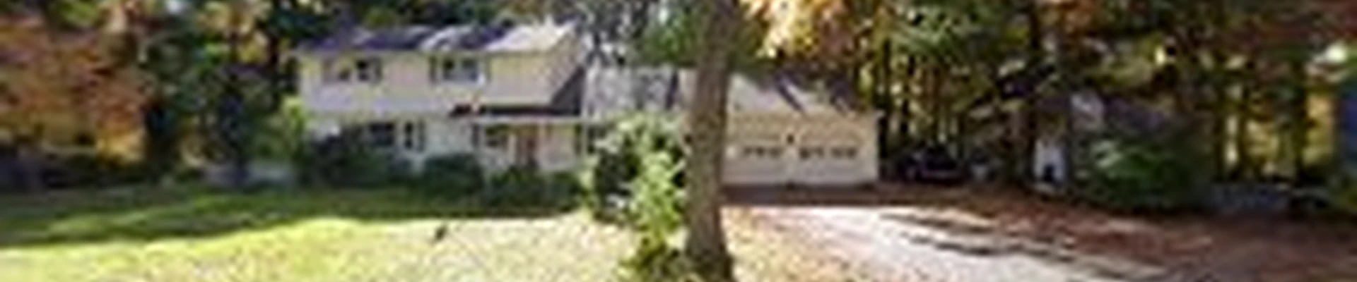 DC TREE LLC