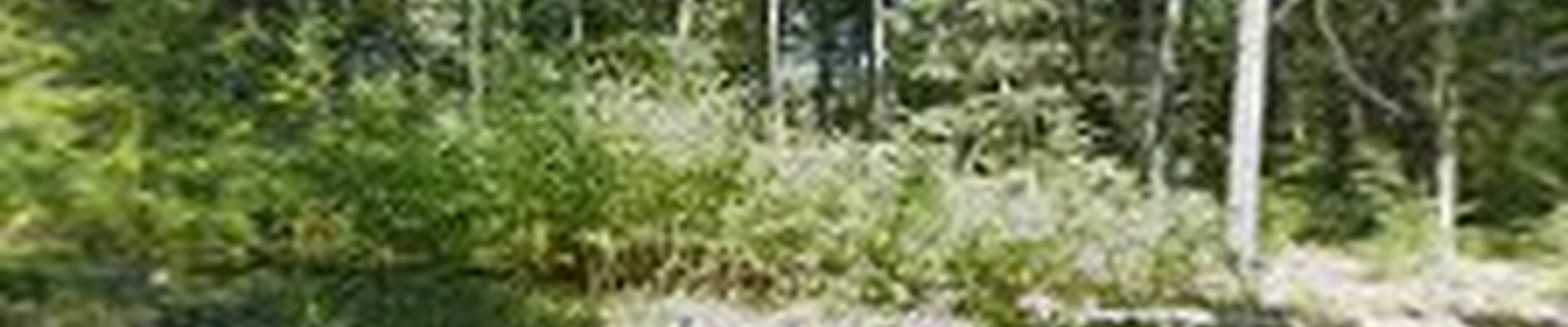 Residential Foresters LLC