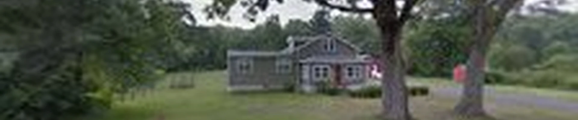 Al's Tree and Shrub Care