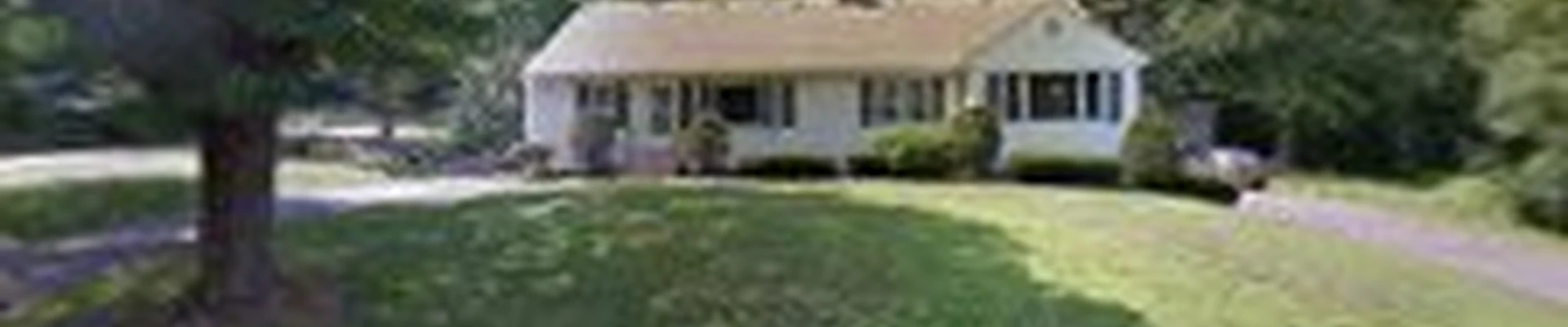 Wood Land Tree & Landscape llc