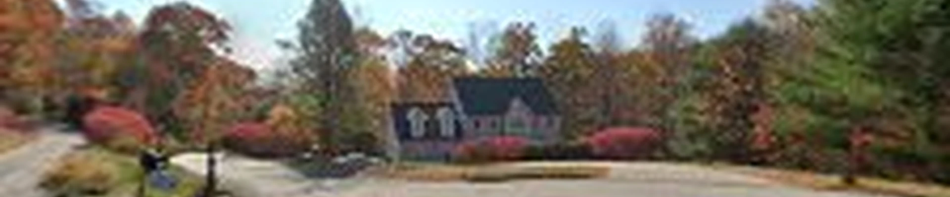 Chatham Tree