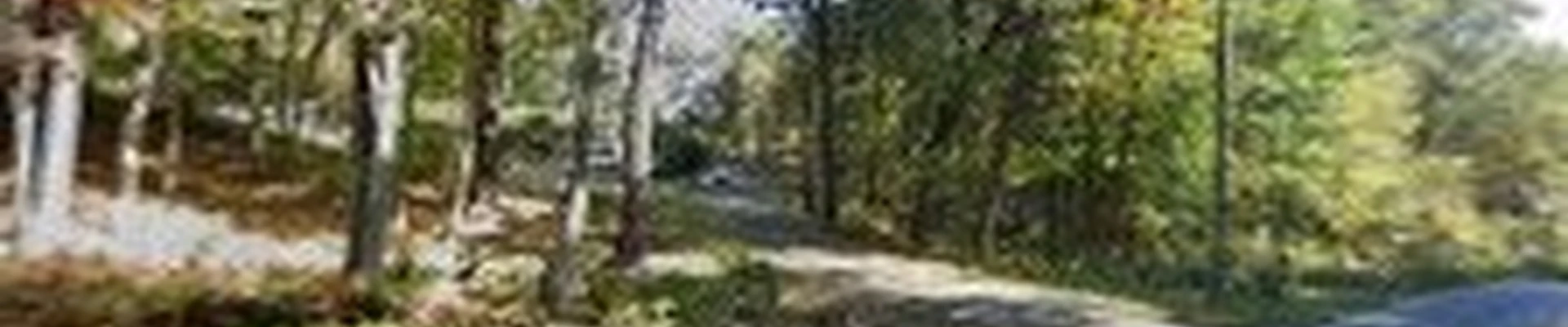 Canopy Tree Service LLC