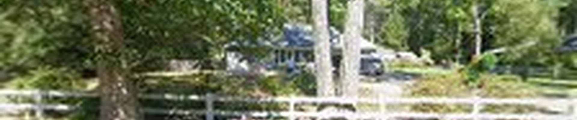 Larkin Tree Services