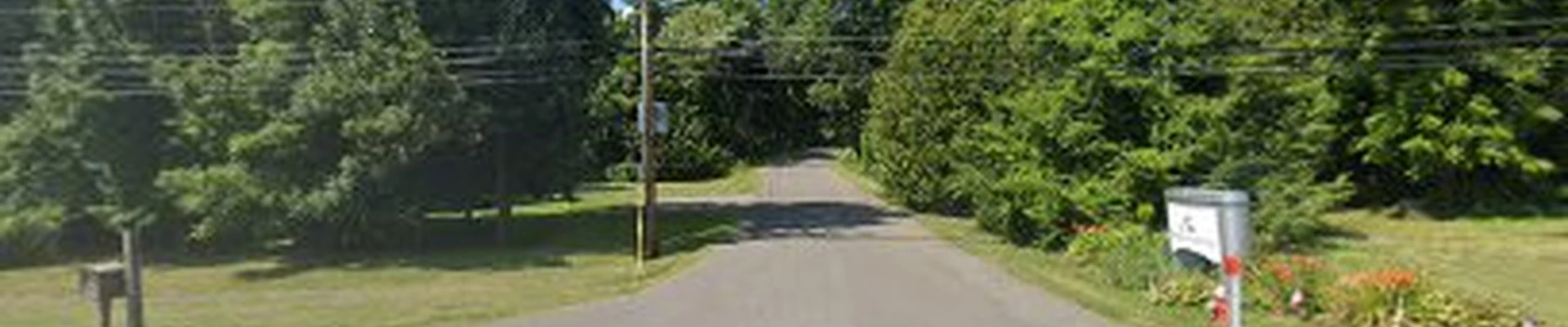 Stafford Tree Services