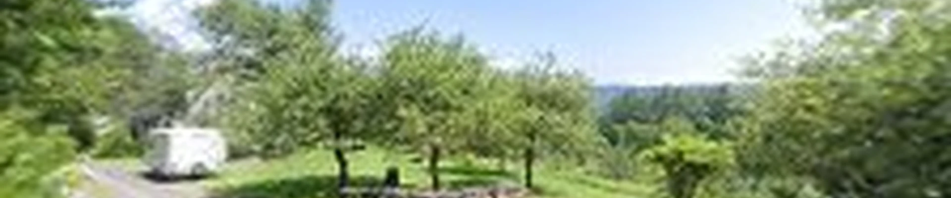 Lanoue Tree & Landscape Service