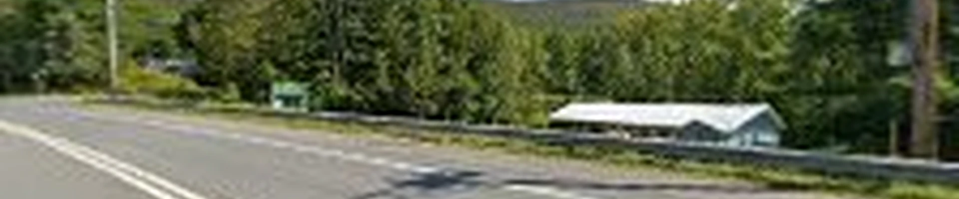 North Adams Tree and Landscape LLC
