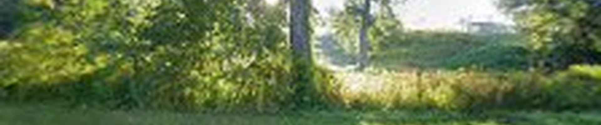 Flores Farm Tree Service