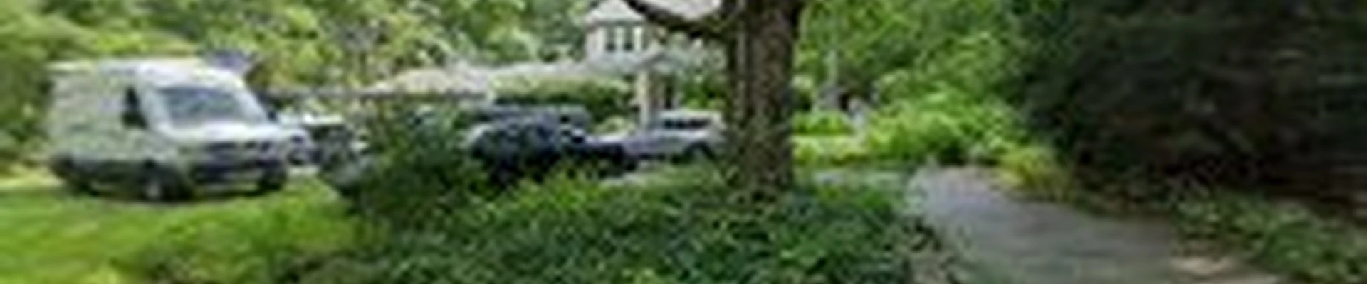 Gabe Riley. The Tree Doctor