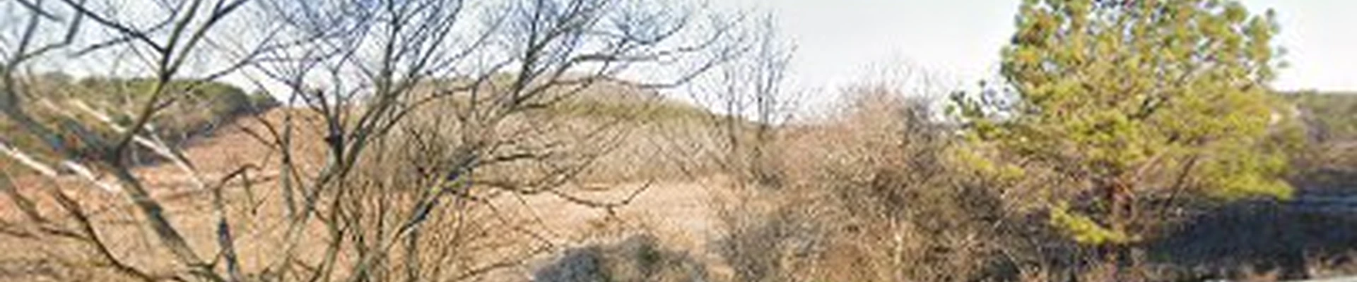 Tunnel Hill Stump Grinding LLC