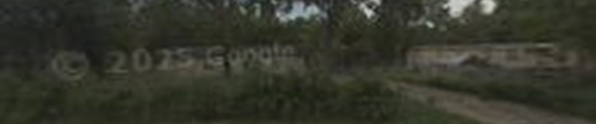 Landyn Trees