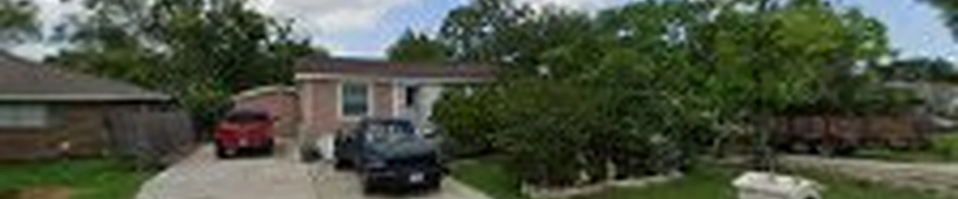 Professional Tree Service