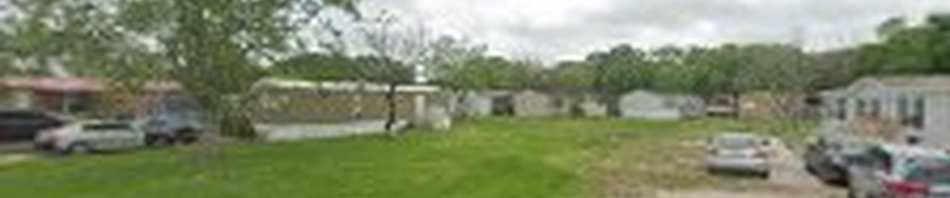 Antonio tree service & fencing