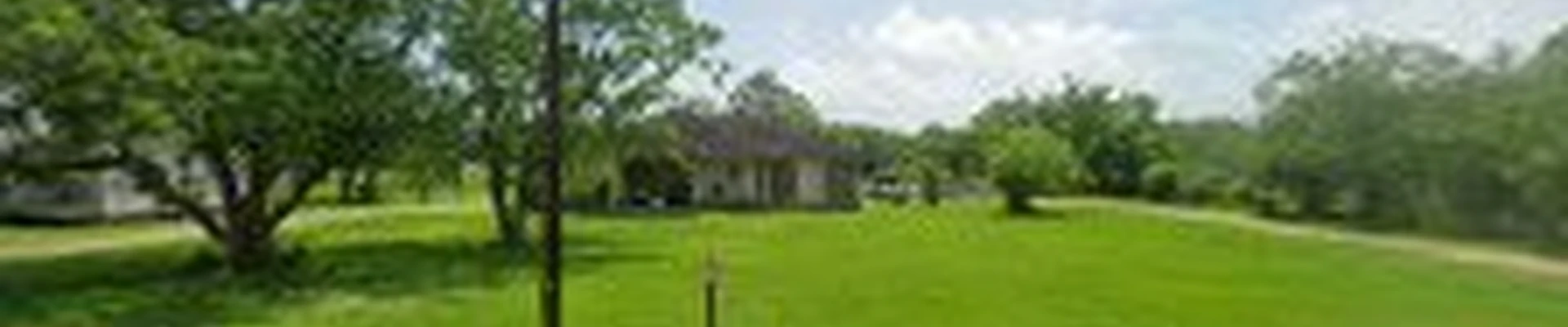 Davis Tree Care And More