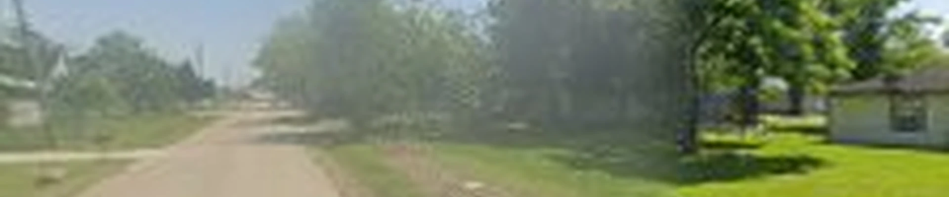 Elite Tree Experts