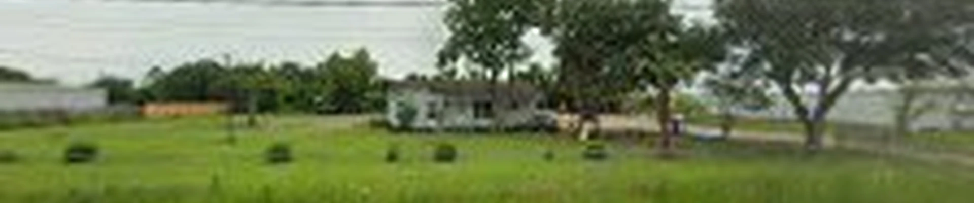 2 vets tree service