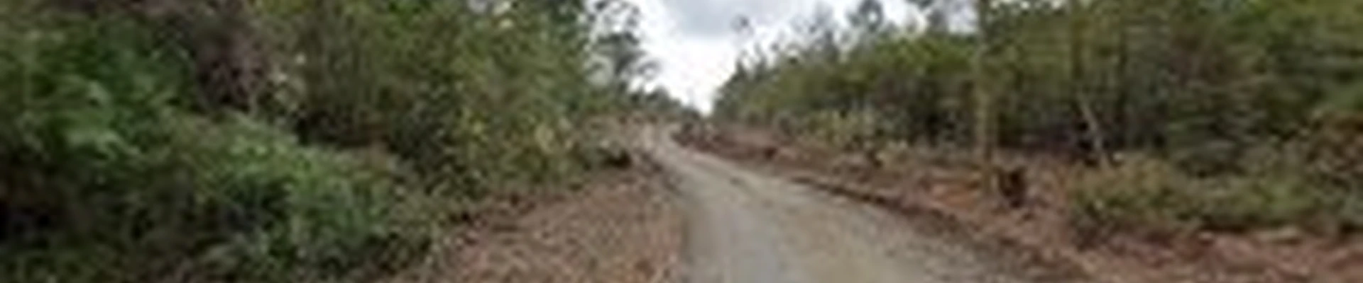 Porters Tree Services LLC