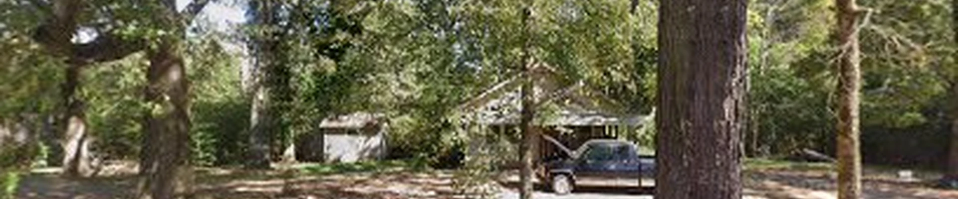 24 Hour Emergency Tree And Welding Service
