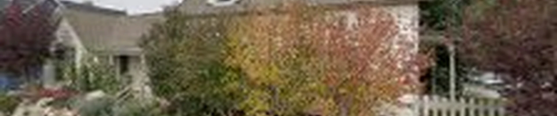 TSH Tree Service
