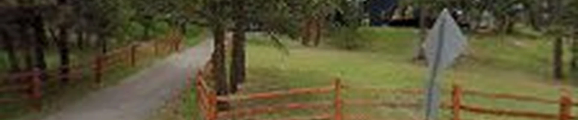 Forestwerx