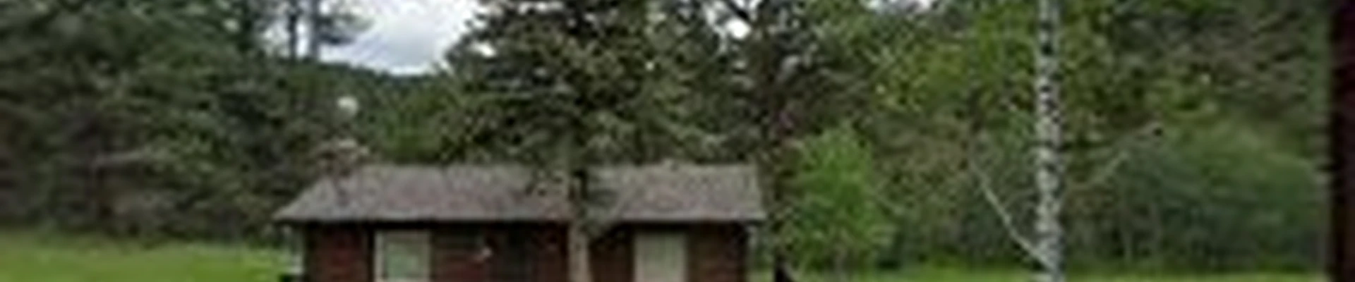 Colorado Tree Specialists