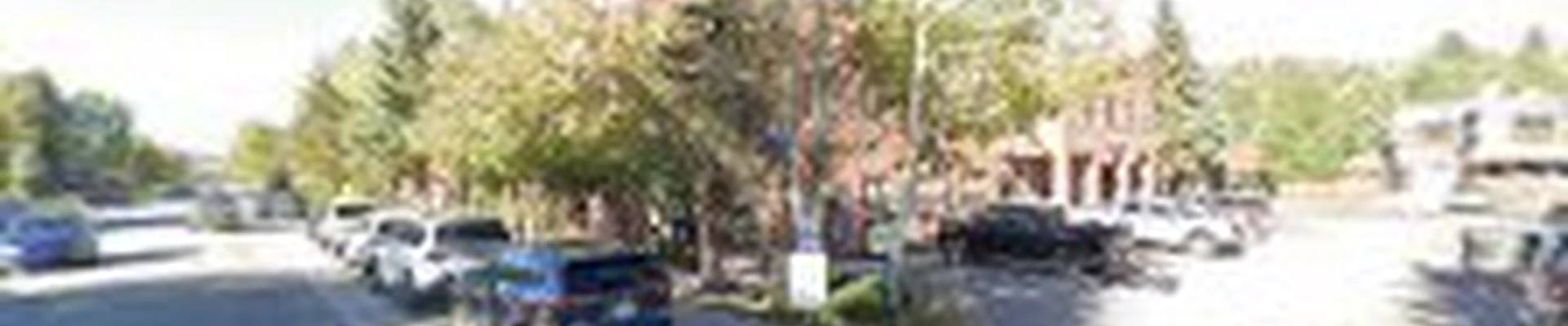 Cutting Edge Tree Care, llc