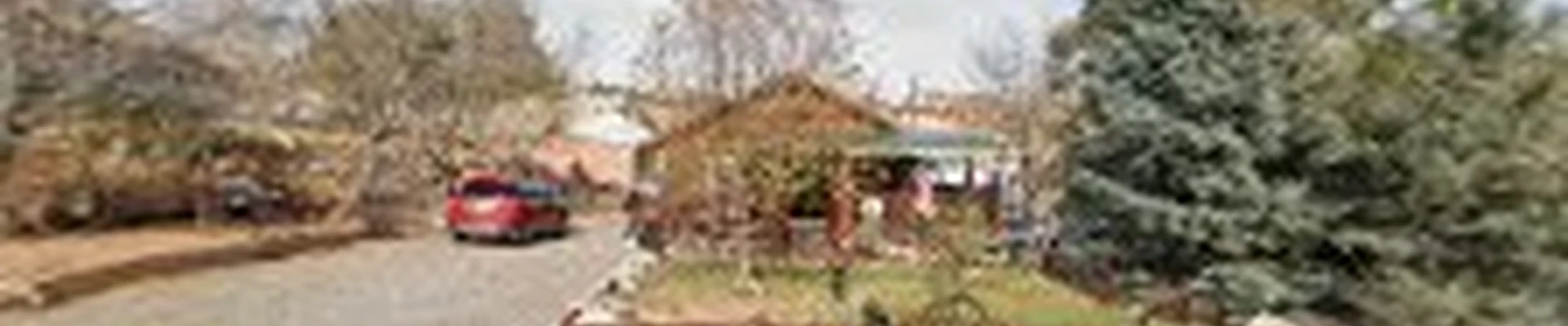 Aspen Tree Service
