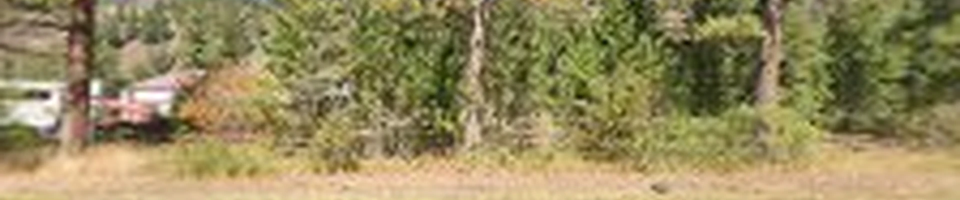 Garden City Tree Service Inc.