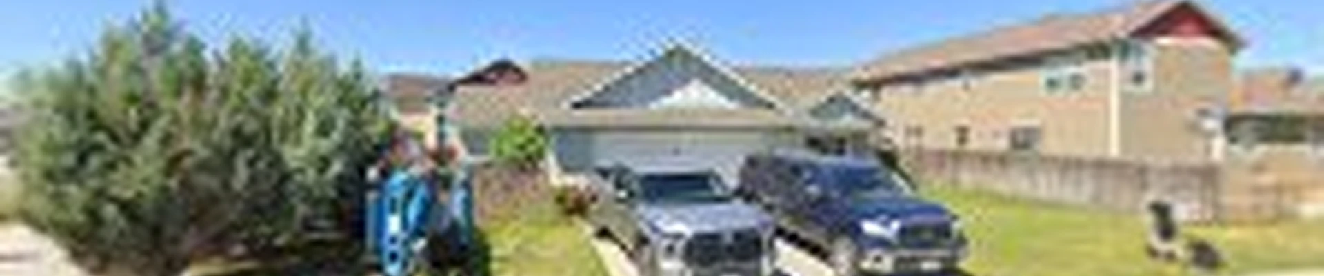 L & M Tree Service MT