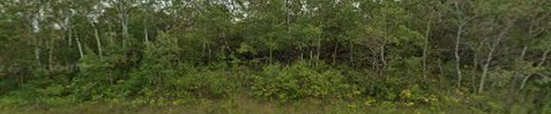 Outdoor Designs Unlimited Inc