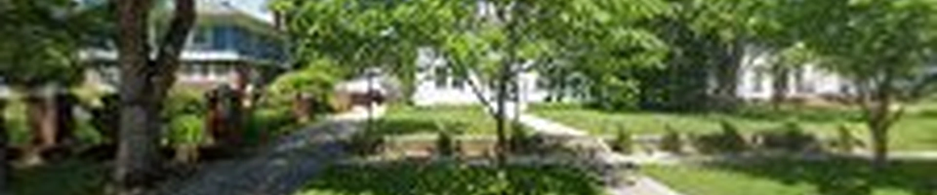 Green Planet Solutions Tree Service